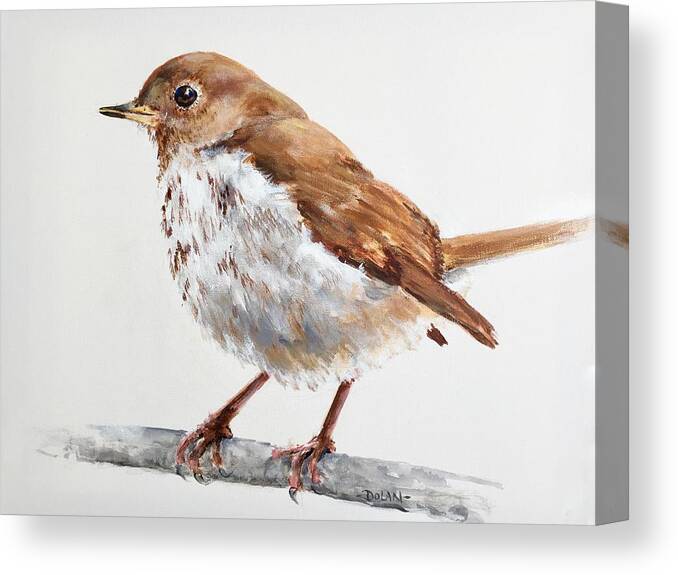 Hermit Thrush Canvas Print featuring the painting Hermit Thrush by Pat Dolan