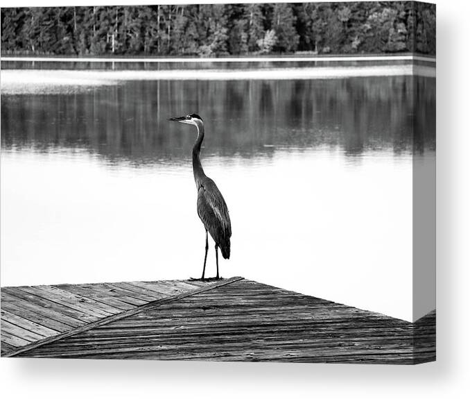 Heron Canvas Print featuring the digital art HerOn the dock of the bay by Kathleen Illes
