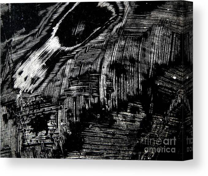 Black And White Photograph .not Manipulated Except To Become Black And White .very Dramatic Canvas Print featuring the photograph Hog Fish Two by Priscilla Batzell Expressionist Art Studio Gallery