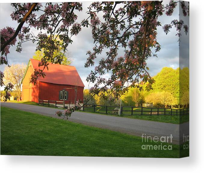 Barn Canvas Print featuring the photograph Home on the Farm by Charlotte Blanchard