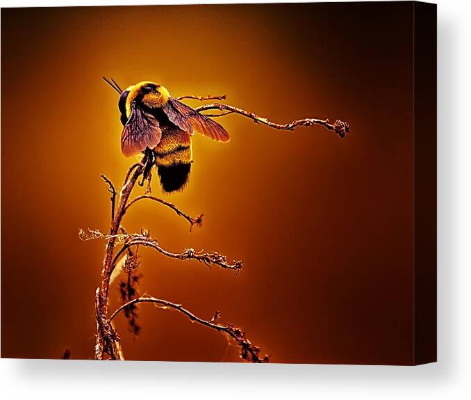 Bee Canvas Print featuring the photograph Hot Buzz by Bill and Linda Tiepelman