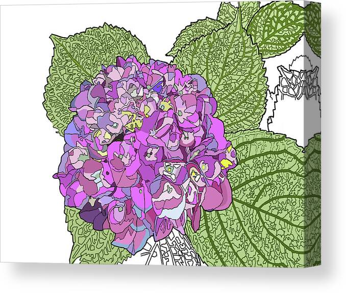 Hydrangea Canvas Print featuring the painting Hydrangea by Jamie Downs