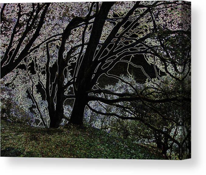 Trees Canvas Print featuring the photograph I can see fairies by Roberto Alamino