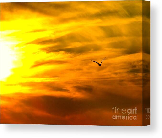 Sun Canvas Print featuring the photograph Icarus Rising by Jean Wright