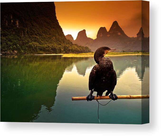 Sunset Canvas Print featuring the photograph In the rest of cormorant watching the sunset-China Guilin scenery Lijiang River in Yangshuo by Artto Pan