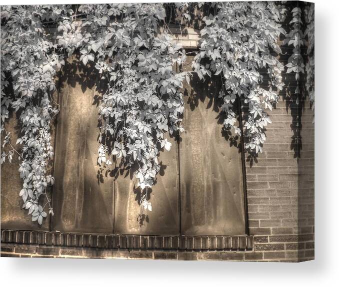 Infrared Canvas Print featuring the photograph Infrared botanical sepia by Jane Linders
