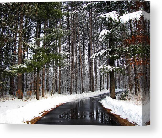 Tree Canvas Print featuring the photograph Into The Woods by Ms Judi