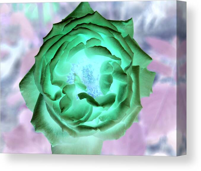 Rose Photo Canvas Print featuring the photograph Inverted Rose I by James Granberry