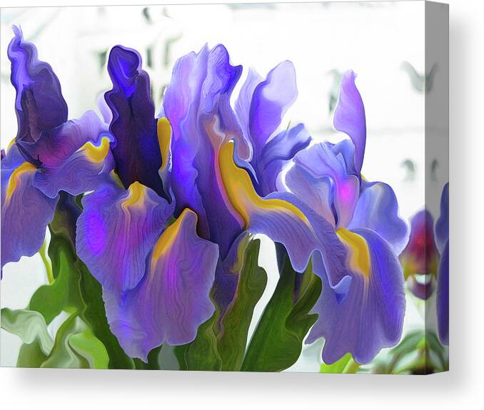 Abstract Canvas Print featuring the photograph Iris by Kathy Moll