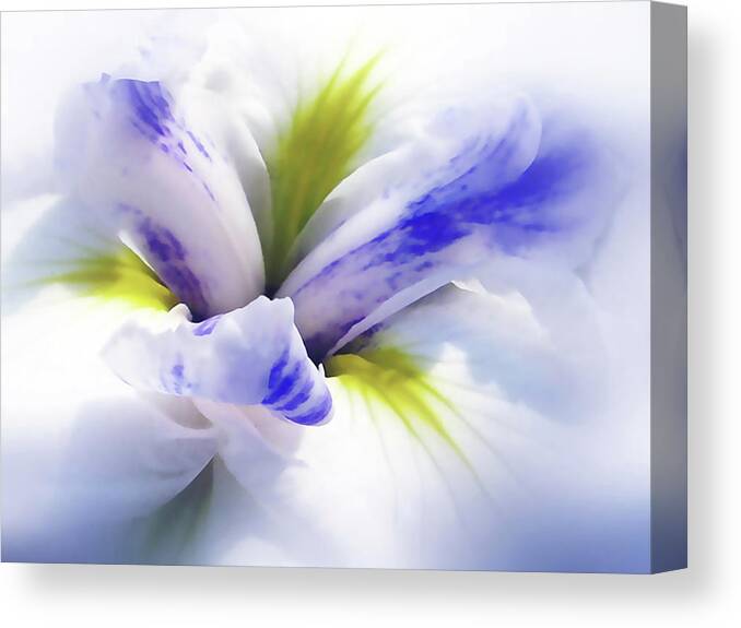 Flowers Canvas Print featuring the photograph Iris Spring by Jessica Jenney