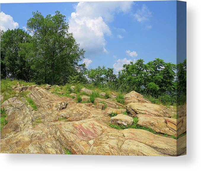 Kennesaw Mountain Canvas Print featuring the photograph Kennesaw Mountain Summit by Connor Beekman