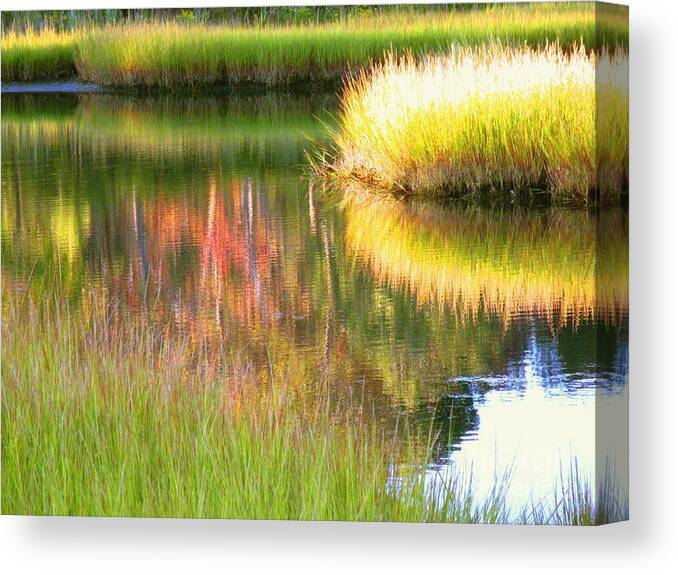 Abstract Canvas Print featuring the photograph Stillness Of Late Summer Marsh by Sybil Staples