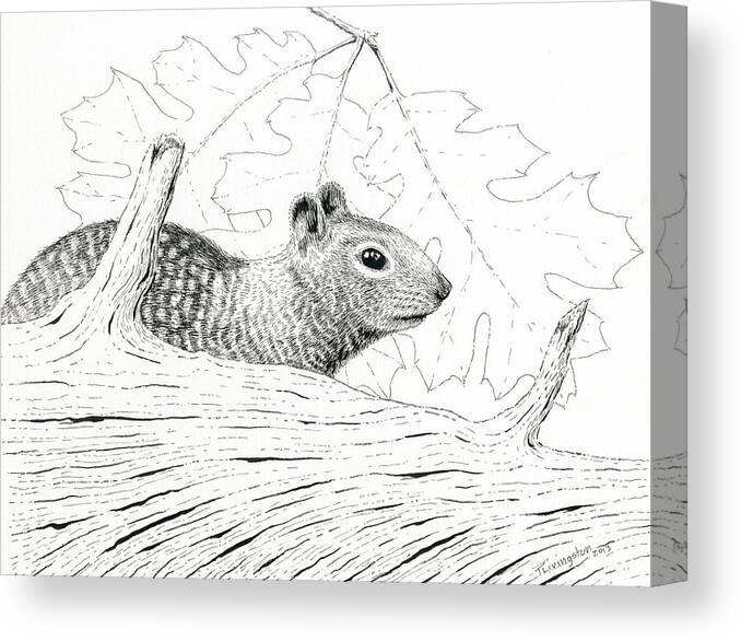Squirrel Canvas Print featuring the drawing Laying Low by Timothy Livingston