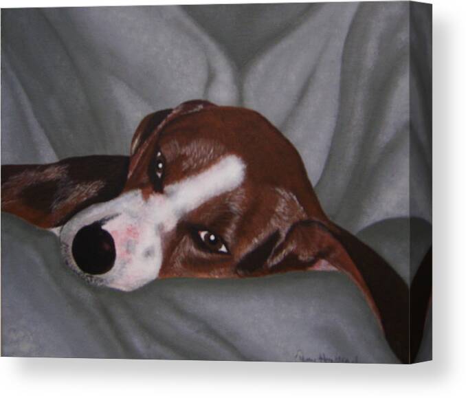 Dog Canvas Print featuring the painting Lazy Daisy by Terry Honstead