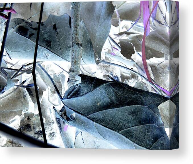 Photos Art Landscapes Canvas Print featuring the photograph Leaf 75 by The Lovelock experience
