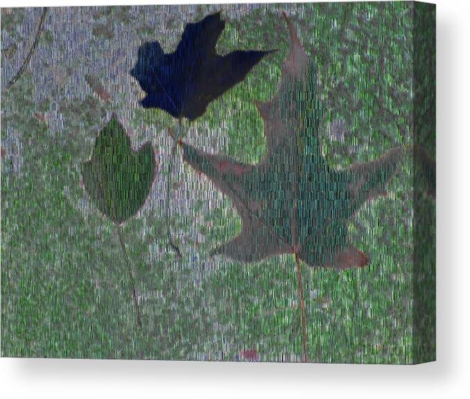 Leaves Canvas Print featuring the digital art Leaves Of Flurry 3 by Tim Allen