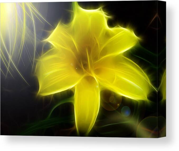 Daylily Canvas Print featuring the digital art Lily by Patricia Motley