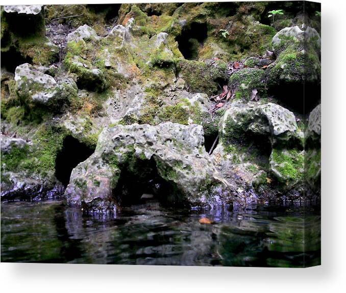 Limestone Canvas Print featuring the photograph Limestone Arch by Julie Pappas