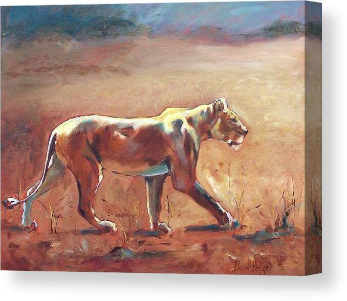 Wildlife Canvas Print featuring the painting Lioness by Ilona Petzer