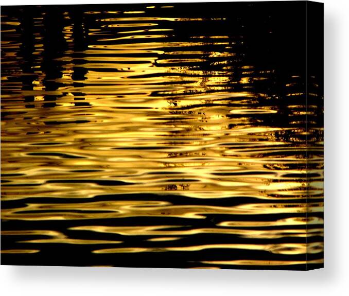Reflections Canvas Print featuring the photograph Liquid Gold by Henry Murray