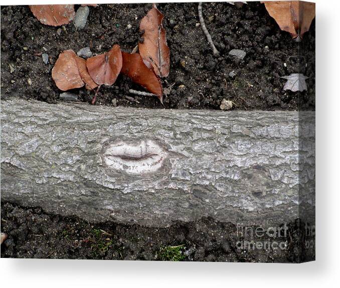 Lips Canvas Print featuring the photograph Log Lips by Marie Neder