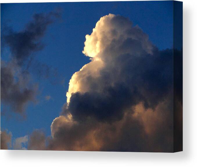 Sky Canvas Print featuring the photograph Looking to the Heavens by Liz Vernand