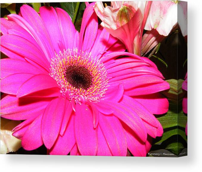 Arrangement Canvas Print featuring the photograph Looking Up by Kimmary MacLean