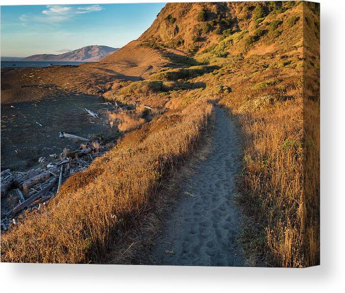Lost Coast Trail Canvas Print featuring the photograph Lost Coast Trail 2 by Greg Nyquist