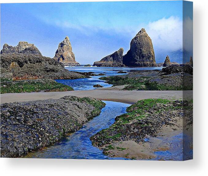 Ocean Canvas Print featuring the photograph Low Tide by Sandra Peery