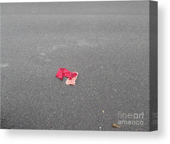 Meat Canvas Print featuring the photograph Made out of Meat by Marie Neder