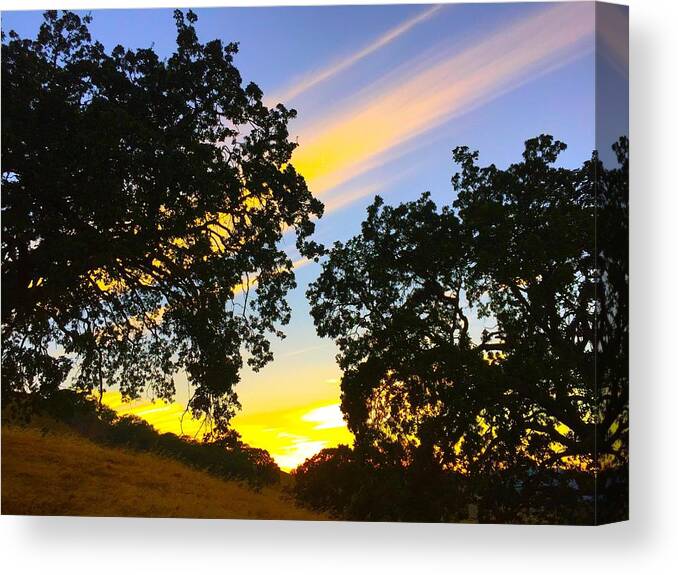 Sunset Canvas Print featuring the photograph Magic Hour Sunset by Brad Hodges