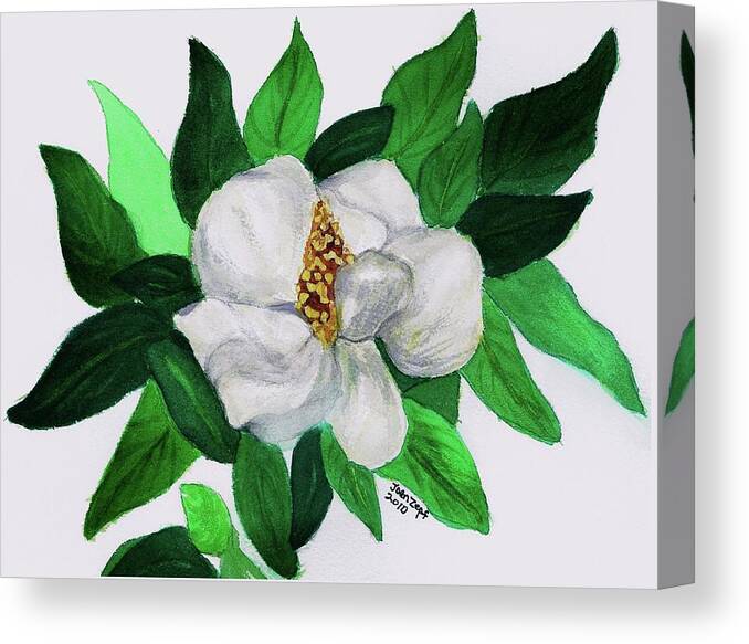 Magnolia Canvas Print featuring the painting Magnolia I by Joan Zepf