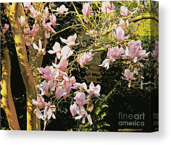 Magnolia Canvas Print featuring the mixed media Magnolias And Sunshine Posterized by Leanne Seymour