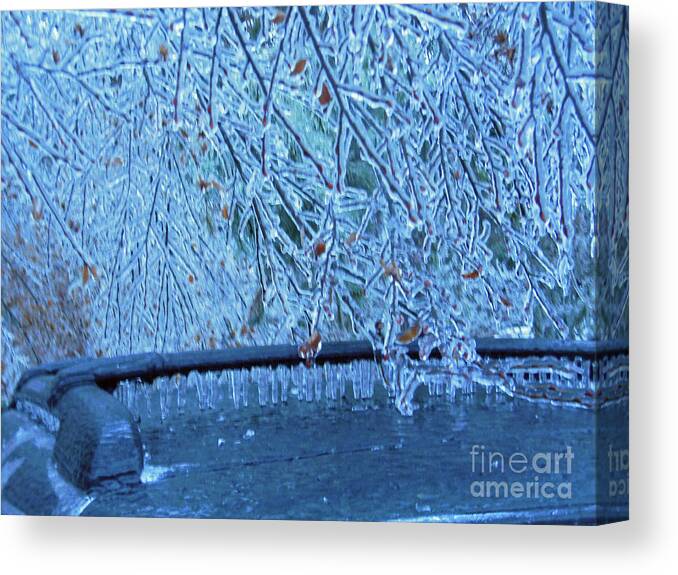 Malibu Icicles Canvas Print featuring the photograph Malibu Icicles by Rockin Docks Deluxephotos