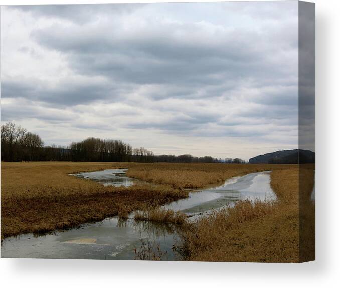 Marsh Canvas Print featuring the photograph Marsh Day by Azthet Photography