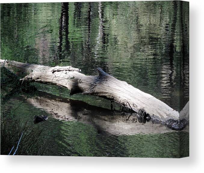 River Canvas Print featuring the photograph Merced River 6 by Eric Forster