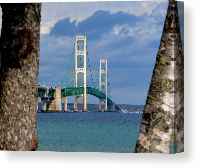 Mackinac Bridge Canvas Print featuring the photograph Mighty Mac Framed by Trees by Keith Stokes