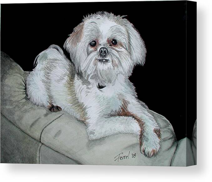 Dog Canvas Print featuring the painting Miki Dog by Ferrel Cordle