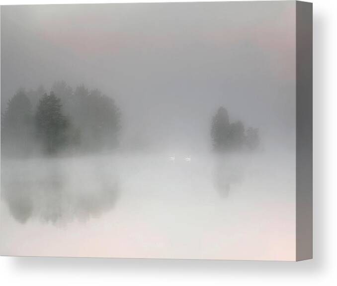 Sweden Canvas Print featuring the photograph Misty Morning by Bjorn Emanuelson