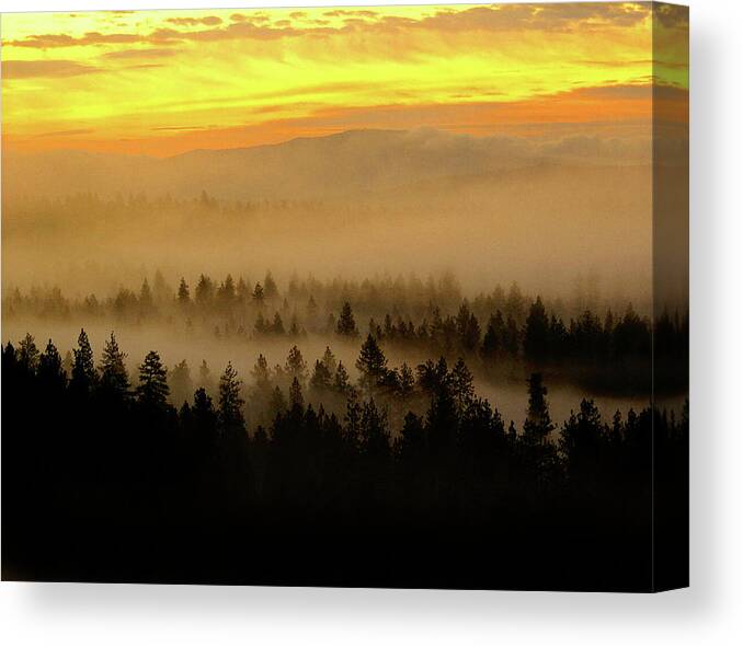 Nature Canvas Print featuring the photograph Misty Sunrise by Ben Upham III