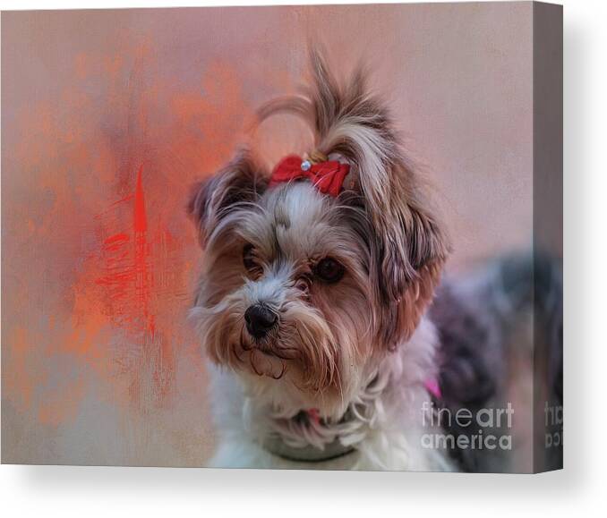 Molly Canvas Print featuring the photograph Molly by Eva Lechner