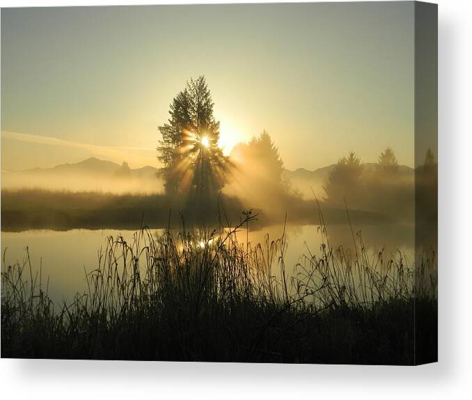 Sunrise Canvas Print featuring the photograph Morning Bliss by Gallery Of Hope 