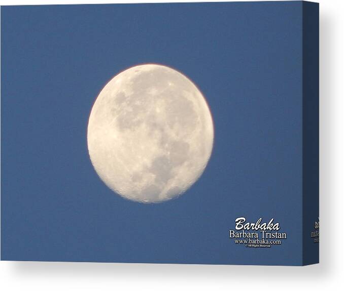 Morning Moon Canvas Print featuring the photograph Morning Moon by Barbara Tristan