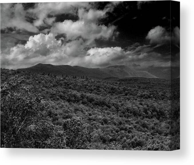 Mount Greylock Canvas Print featuring the photograph Mount Greylock in Black and White by Raymond Salani III