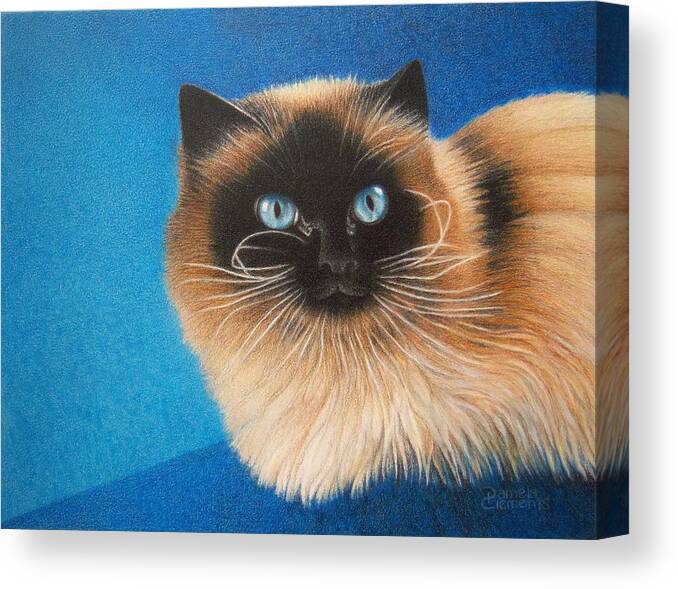 Cat Canvas Print featuring the drawing Mr. Blue by Pamela Clements