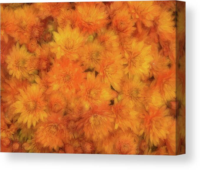 Mums Canvas Print featuring the photograph Mums Story by Andrea Kollo