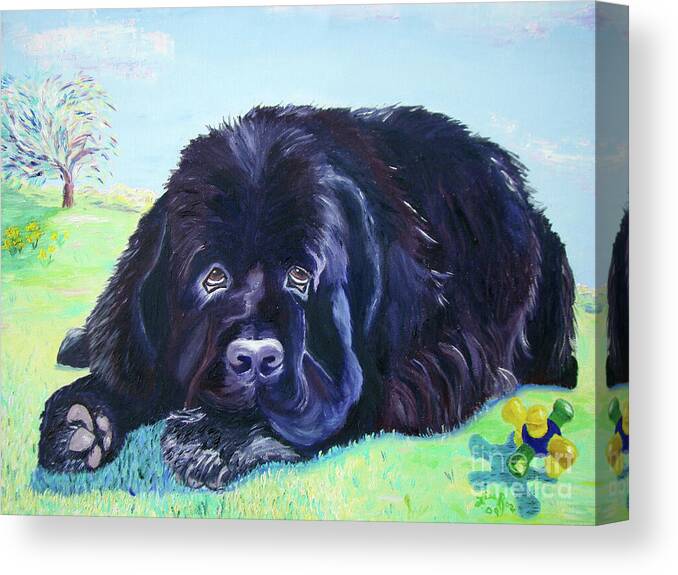 Newfoundland Canvas Print featuring the painting My Bennie by Lisa Rose Musselwhite