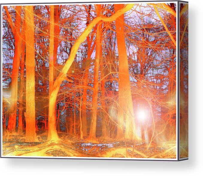 Mysterious Canvas Print featuring the digital art Mysterious Light in the Woods by A Macarthur Gurmankin