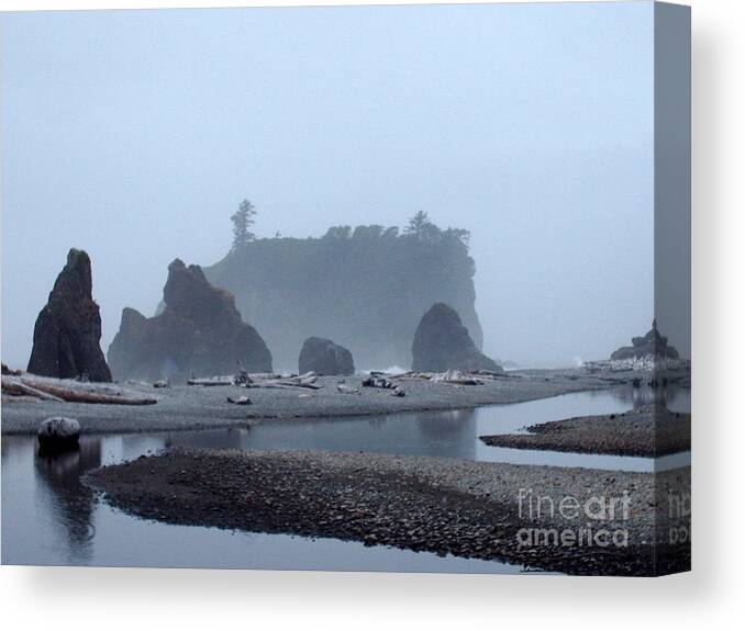 Washington Canvas Print featuring the photograph Mystic Morning by Julie Lueders 