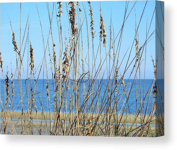 Sea Canvas Print featuring the photograph Naturally The Ocean by Jan Gelders